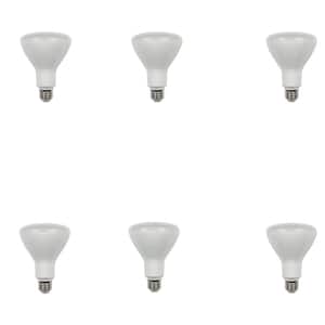 65W Equivalent Soft White R30 Dimmable LED Light Bulb (6-Pack)