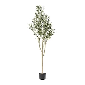Tigue 6 ft. Green Artificial Olive Tree
