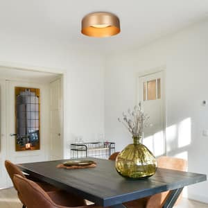 14 in. Dark Gold Integrated LED Flush Mount Lighting, Aluminum Round Ceiling Light, Modern Light Fixture for Hallways