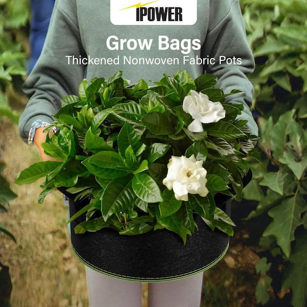 iPower Plant Grow Bag 10 Gal. Fabric Pots, 300g Thick Nonwoven