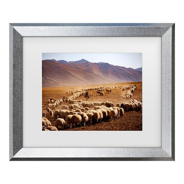 Trademark Fine Art Murat Cacim Desert Sheep Herd Matted Framed Photography Wall Art 14.5 in. x 17.5 in.