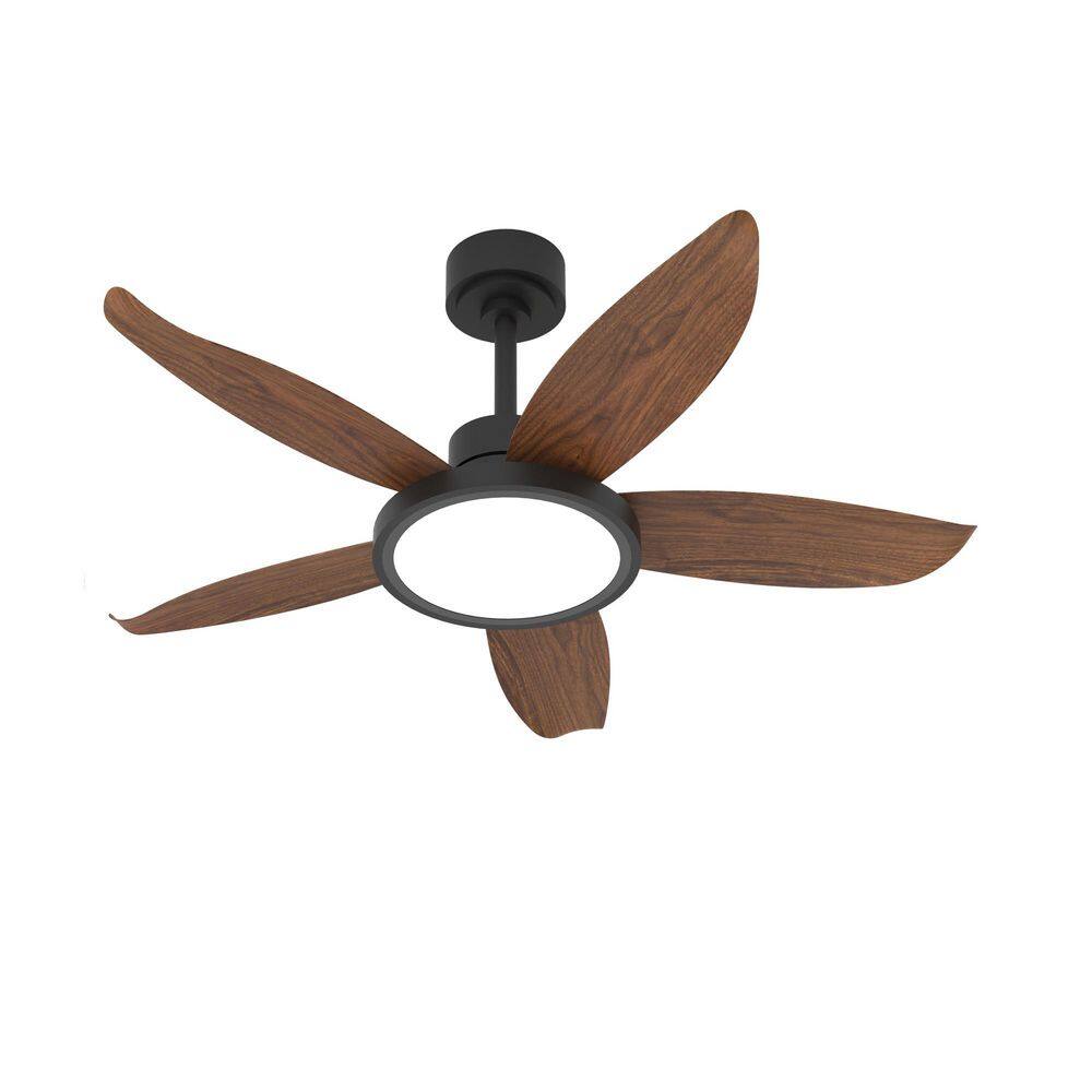42 in. LED Indoor Walnut Ceiling Fan with 3 CCT and Remote Control/APP Remote Control price history on PriceWatchPro