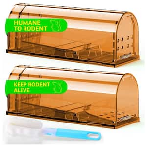 Indoor Humane Mouse Trap, Easy to Set, Quick Mouse Catcher Effective, Reusable and Safe for Families, Brown (2 Pack)