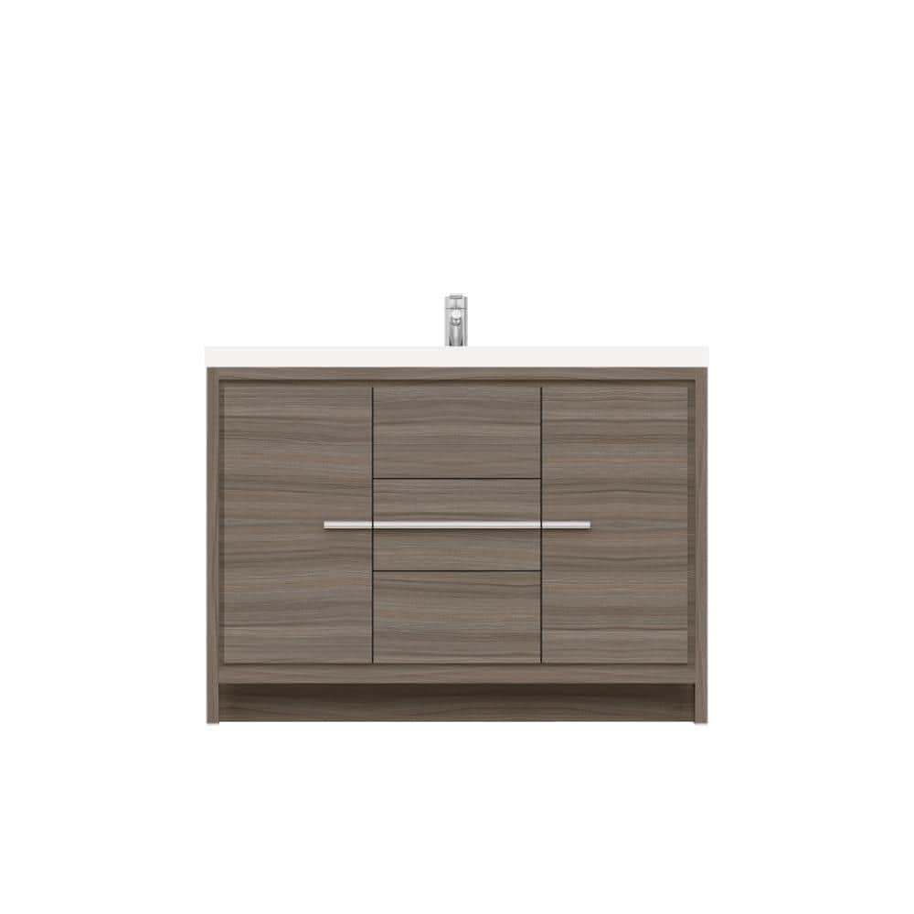 Sortino 48 in. W x 19 in. D Bath Vanity in Gray with Acrylic Vanity Top in White with White Basin price history on PriceWatchPro