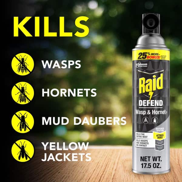 Raid Spray Wasp and Hornet Killer 17.5 oz