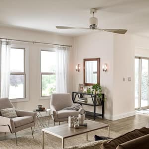 Ferron 60 in. Indoor Brushed Nickel Downrod Mount Ceiling Fan with Remote Included for Bedrooms or Living Rooms