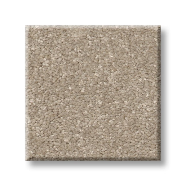 Lifeproof 8 in. x 8 in. Texture Carpet Sample - Blakely III -Color Chai