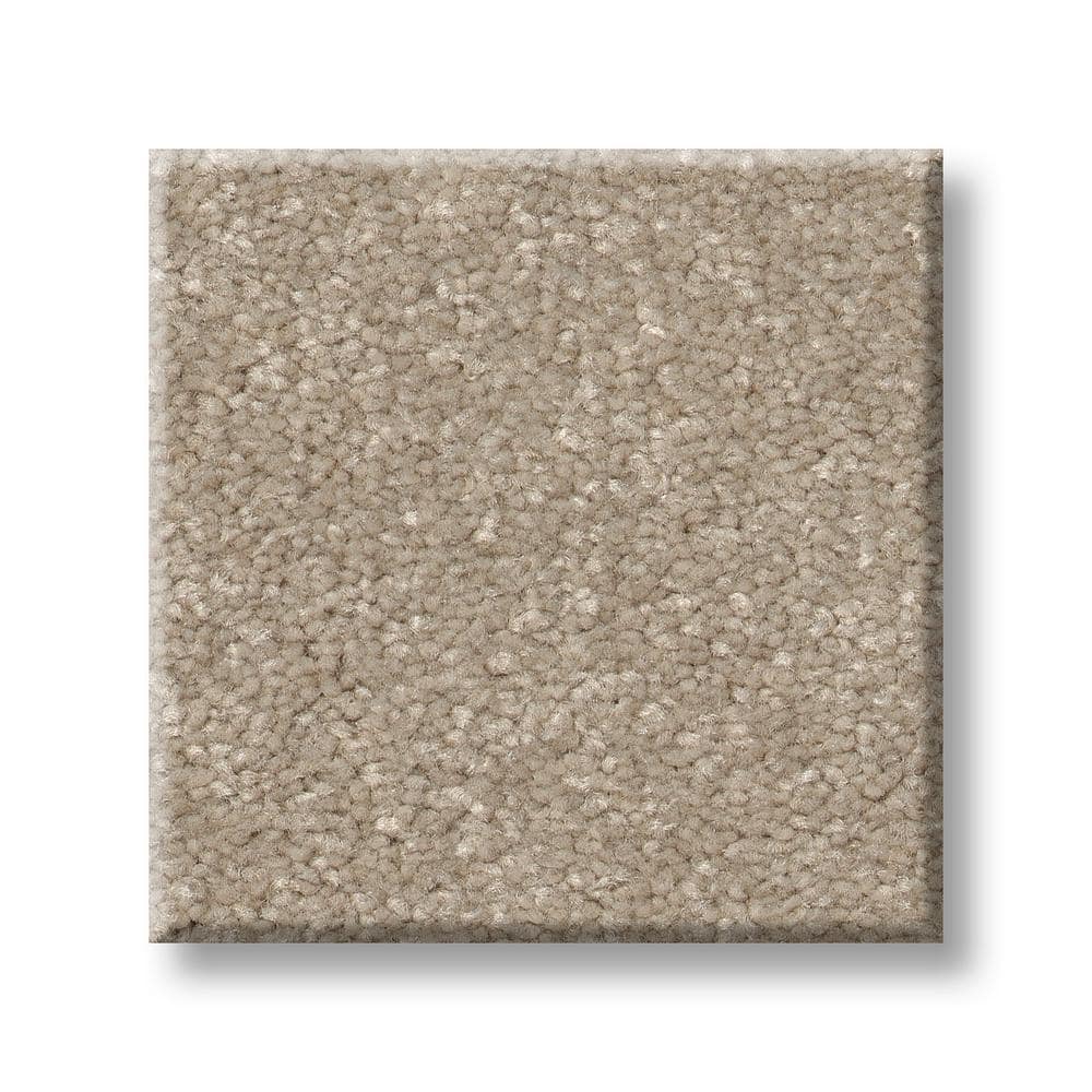 8 in. x 8 in. Texture Carpet Sample - Blakely I -Color Chai price history on PriceWatchPro