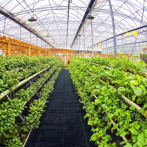 Weed Barrier Fabric 6ft. 300ft. Heavy Duty 2.4 oz. Woven Weed Control Fabric Geotextile Fabric Polyethylene Ground Cover