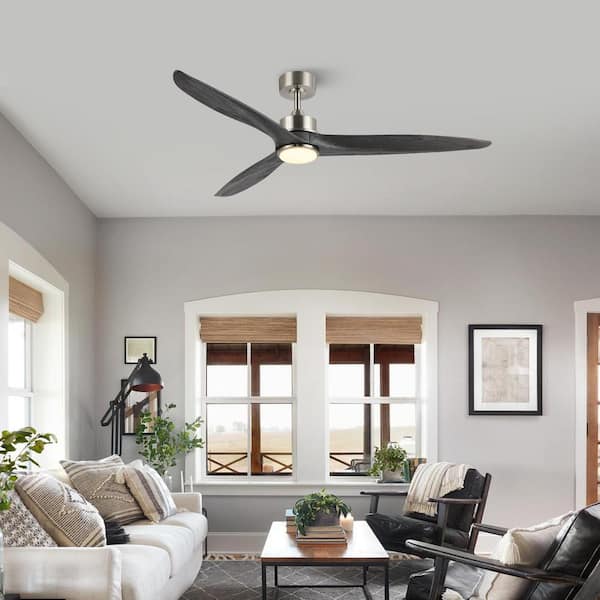 WINGBO 60 Inch DC Ceiling Fan with Lights and Remote Control, 3
