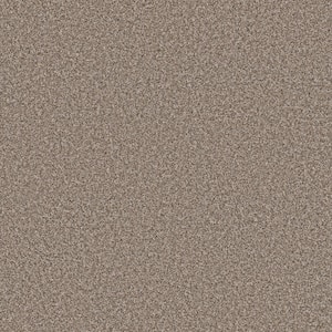 Piece Of Cake Warm Sand Beige 33 oz. Solution Dyed Polyester Texture Installed Carpet