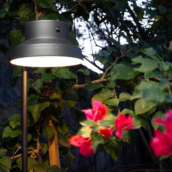 Hampton Bay Solar 10 Lumens Matte Black Outdoor Integrated LED Motion Sensing Path Light; Weather/Water/Rust Resistant