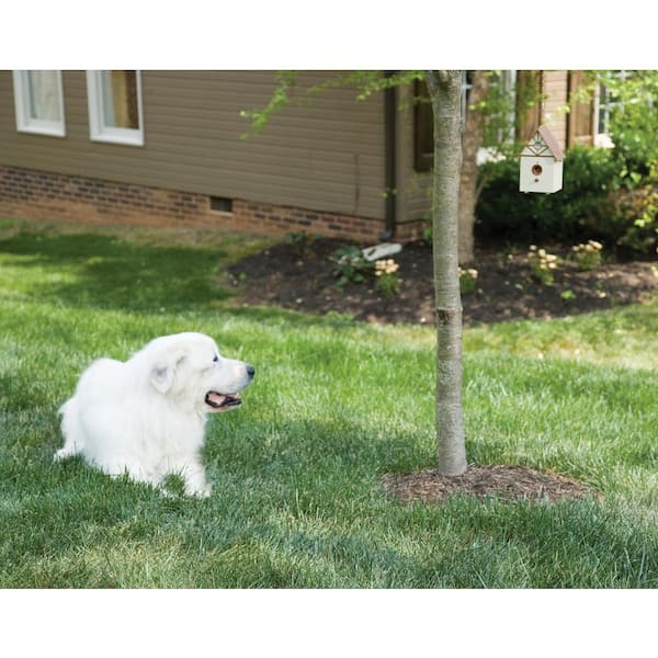 Petsafe birdhouse bark sales control reviews