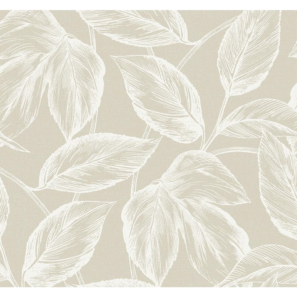 Seabrook Designs 60.75 sq. ft. Oat Beckett Sketched Leaves Nonwoven ...