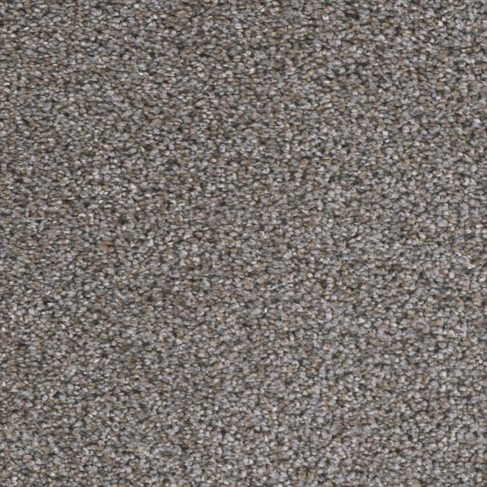 8 in. x  8 in. Texture Carpet Sample - Fall Skies I -Color Bonfire price history on PriceWatchPro