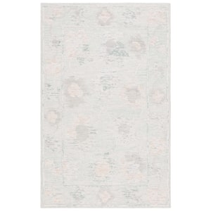 Abstract Beige/Gray 4 ft. x 6 ft. Border Distressed Floral Area Rug