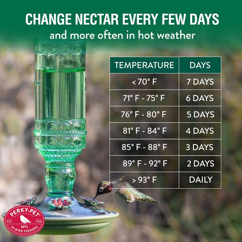 Green Antique Glass Hanging Hummingbird Feeder with Metal Accents