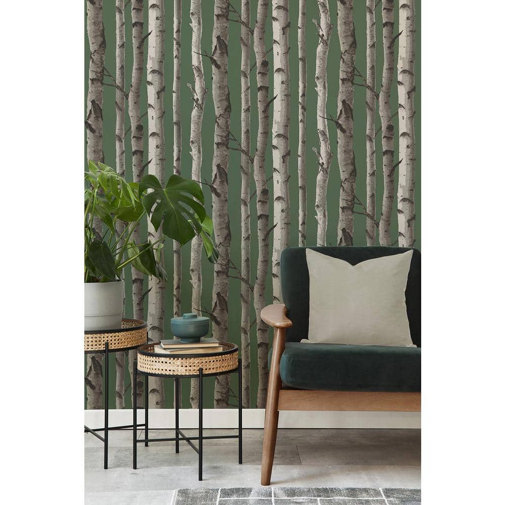 Hunter Green and White Birch Trees Non-pasted Wallpaper Roll