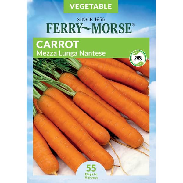 Carrot Mezza Lunga Nantese Italian Vegetable Seeds