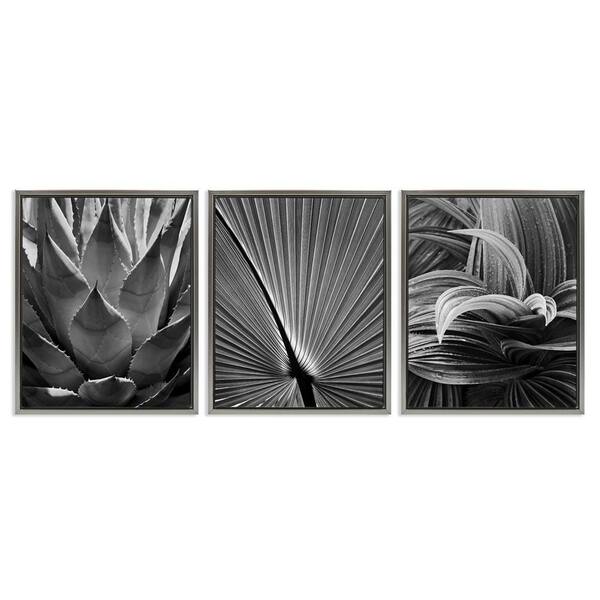 Palm Frond Details by Chip Forelli 3 Pieces Gray Floater Frame Nature Graphic Art Print 31 in. x 25 in.