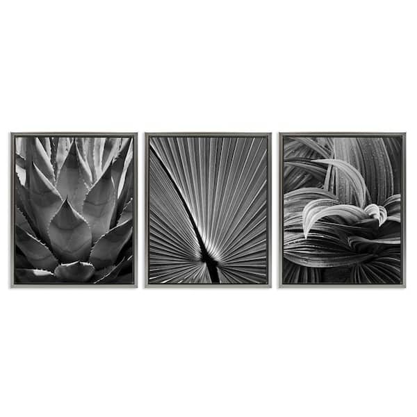 Stupell Industries Palm Frond Details by Chip Forelli 3 Pieces Gray Floater Frame Nature Graphic Art Print 21 in. x 17 in.