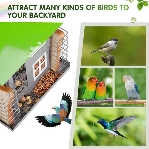 How to Attract Wild Birds: Proven Tips to Bring Nature Close