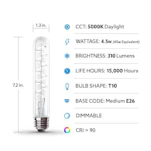 40-Watt Equivalent T10 Dimmable Spiral Filament Large Clear Glass E26 Vintage Edison LED Light Bulb, Daylight