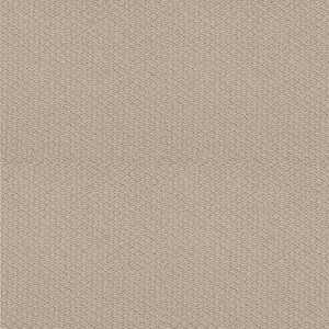 Hickory Lane - Stargazer - Beige 32.7 oz. SD Polyester Loop Installed Carpet