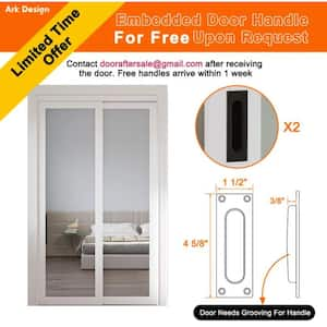 48 in. x 80 in. 1 Lite Mirror Glass White Finished Interior Closet Bypass Sliding Door with Hardware