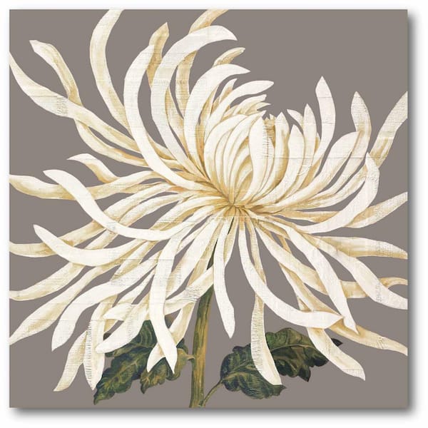 Courtside Market 30 in. x 30 in. "Glorious Whites I" Gallery Wrapped Canvas Printed Wall Art