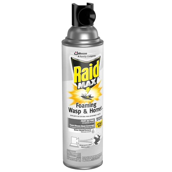 Raid Max Max 13 Oz Foaming Wasp And Hornet Killer The Home Depot