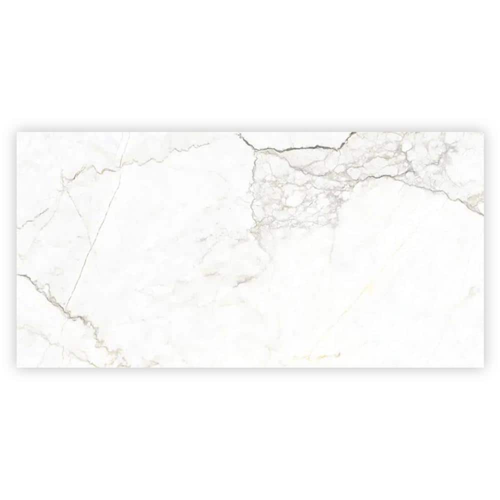 Splendor 24 in. x 48 in. Matte Pearl White with Gray Vein Porcelain Wall and Floor Tile (15.5 sq. ft./case)-2 Pack price history on PriceWatchPro