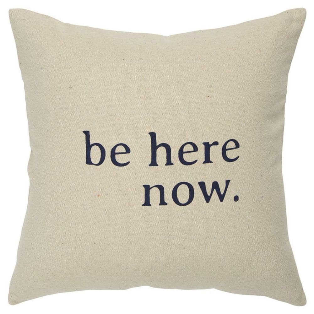 Natural Solid Polyester 20 in. x 20 in. Throw Pillow price history on PriceWatchPro