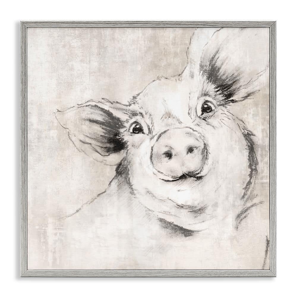 Pig Sketch Impression by Eli Jones Gray Framed Animal Giclee Art Print 17 in. x 17 in. price history on PriceWatchPro