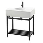 Twin Star Home 30 in. W x 20 in. D Vanity in Black with Stone Vanity ...