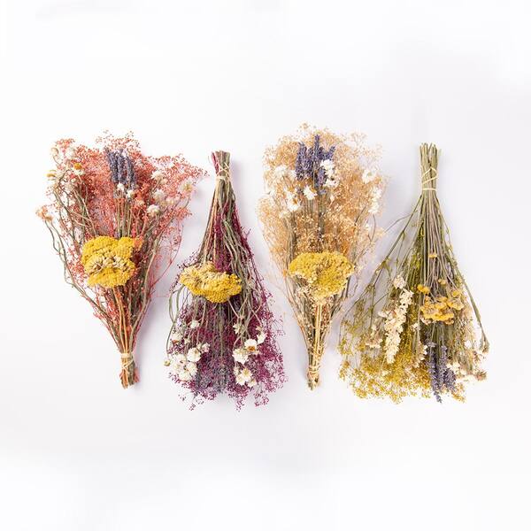 Dried Assorted Babys Breath Small Pack