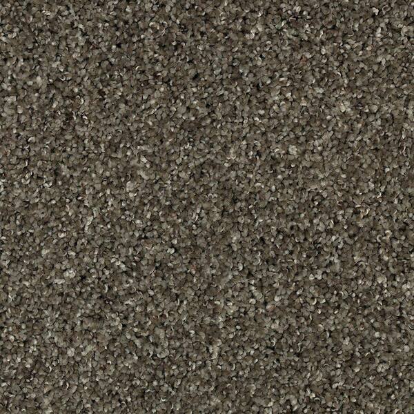 Lifeproof with Petproof Technology 8 in. x 8 in. Texture Carpet Sample - Barx II -Color Dried Peat