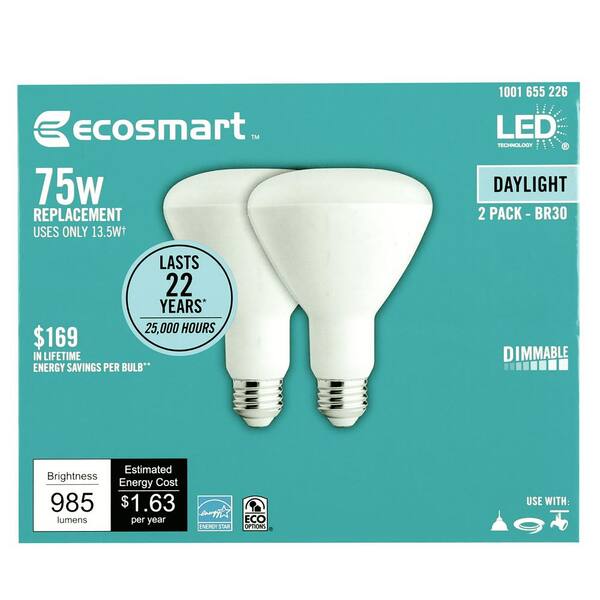 ecosmart 1003024802