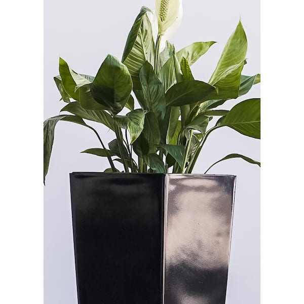 XBRAND 22.4 in. H Black Plastic Self Watering Indoor Outdoor