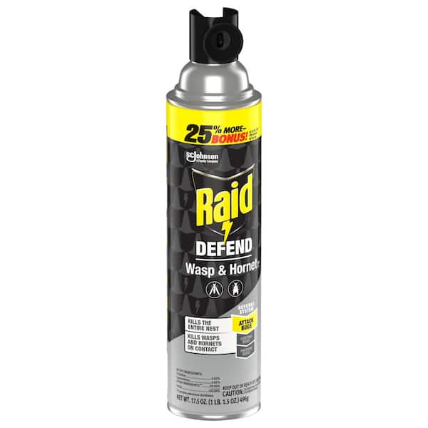 Raid Spray Wasp and Hornet Killer 17.5 oz
