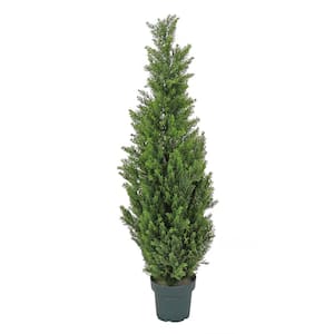 50" Artificial Cedar Tree in Dark Green Round Growers Pot
