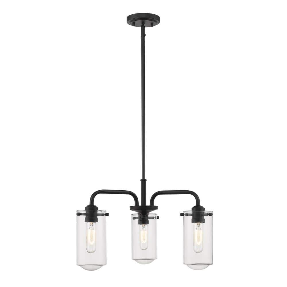 Delaney 3-Light Matte Black Chandelier with Glass Shade