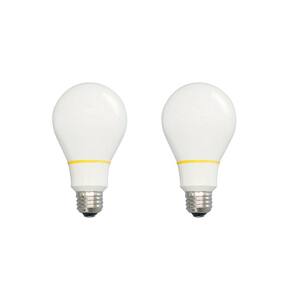 60W Equivalent Warm White A19 Tesla Light Bulb (2-Pack)