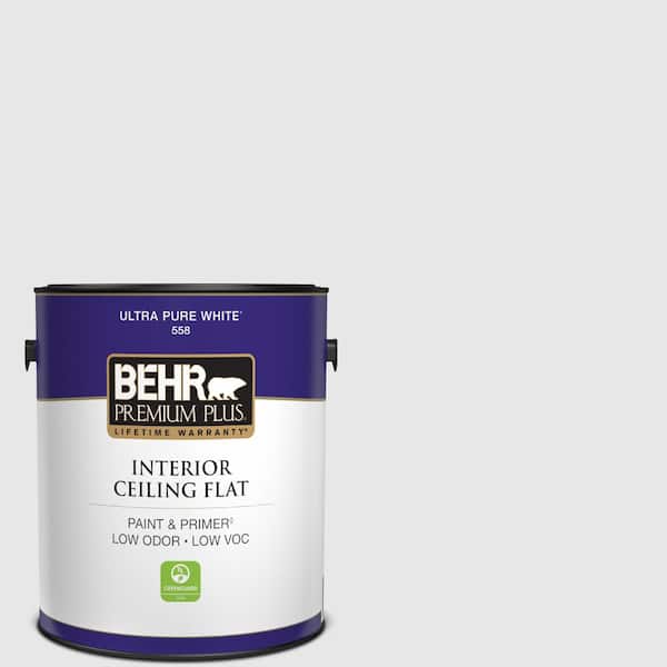 1 gal. #PR-W09 Nimbus Cloud Ceiling Flat Interior Paint
