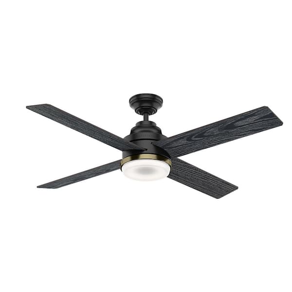Casablanca Daphne 54 in. Integrated LED Indoor Matte Black Ceiling Fan with Light Kit and Wall Control