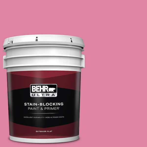 BEHR ULTRA 5 gal. Home Decorators Collection #HDC-MD-10A Sweet Chrysanthemum Flat Exterior Paint & Primer