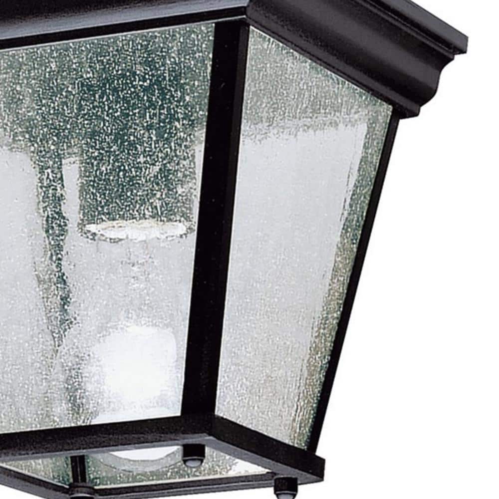 Black Glass and Bronze Indoor/Outdoor Ceiling Light