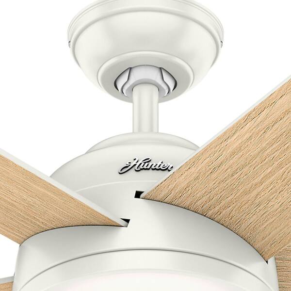 Hunter Romulus 54 In Integrated Led, Hunter Contempo 54 Ceiling Fan