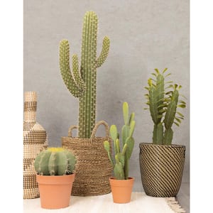 beat Huh somewhat Cactus - Artificial Plants - Home Decor - The Home Depot