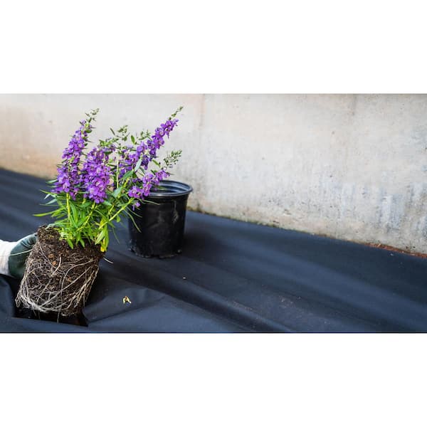 Vigoro - 4 ft. x 100 ft. Medium Duty Weed Barrier Landscape Fabric